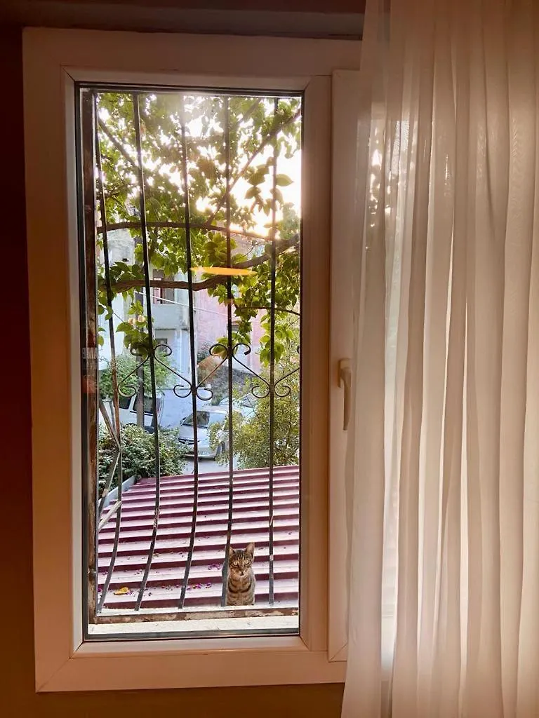 Small House إزمير 0*,  تركيا